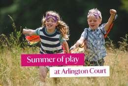 Summer of play at Arlington Court