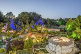 Summer Evening Illuminations
