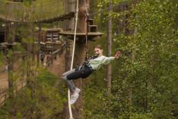 Go Ape Haldon