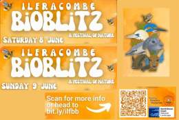 BioBlitz and Festival of Nature