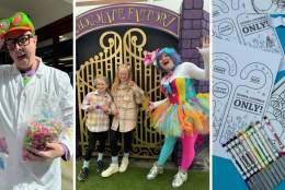 Chocolate Factory Experience