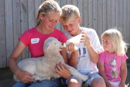 EGG-STRAVAGANZA at Pennywell Farm