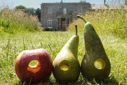The Very Hungry Caterpillar™ at Arlington Court
