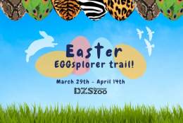 Easter Eggsplorer Trail at Dartmoor Zoo!