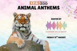 Animal Anthems