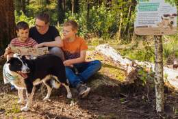 Forest Walkies with Wallace & Gromit