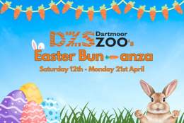 Easter Bun-anza!