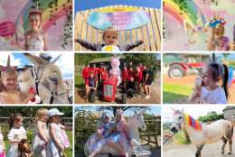 Magical Unicorn Month at Pennywell Farm!