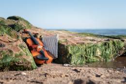 Rhythms from The Wild Shore