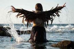 The Wild Shore - a magical, maritime outdoor theatre show