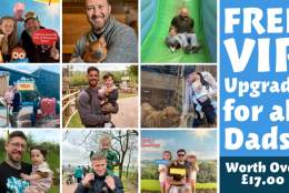 VIP OFFER FOR DADS: Father's Day at Pennywell Farm