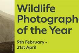 WILDLIFE PHOTOGRAPHER OF THE YEAR EXHIBITION