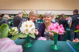 RHS National Rhododendron Show