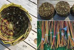 Willow Basket Weaving Workshop