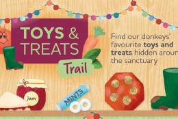 Toys and Treats - Winter Trail