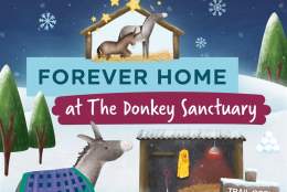 A Forever Home Winter Trail