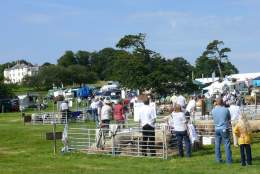 Woolsery Agricultural Show, in aid of local charities