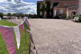 Killerton Springs into Rhyme: Blossom poetry display