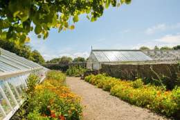 Clovelly Court Gardens
