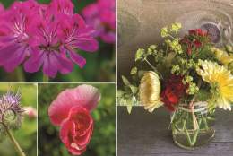 Flower arranging & forage workshop with a cream tea