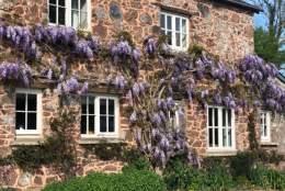 Fursdon Cottage