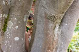 Easter holiday fun at RHS Rosemoor