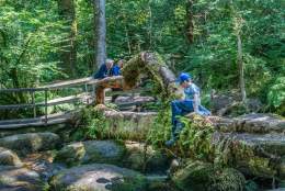 Half-Price for Mums this Mother's Day Weekend at Becky Falls