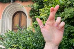 National Lottery Open Week-Killerton