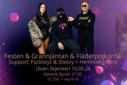 Festen & Grannjäntan & Fläderpojkorna // Support: Fucktoyz & Steezy