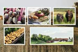 ANGUS AFTEN: Eksklusivt «Jord til Bord» 5-retters måltid på Helgaker Gård