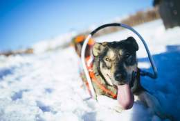 Ungdomscamp på DNT Osbakken