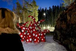 Vintervandring i måneskinn på Kistefos