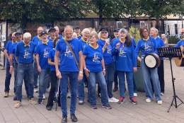 Sauen som ikke fikk sove