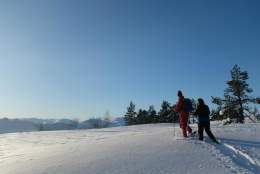 Amazing Snow Shoe Hike Balestrand
