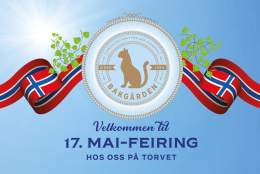 17. MAI PÅ BAKGÅRDEN