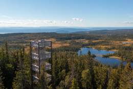Lushaugtårnet på Lygna - sommertur