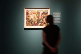 Omvisning: Fra dype daler til nakne svaberg