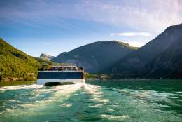 Fjord Cruise Nærøyfjord