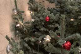 Vi synger og spiller julen inn i Nes kirke