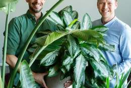 Plantebonanza med Articgarden