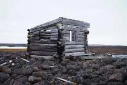 Faglunsj: Skog på Svalbard - Sander Solnes