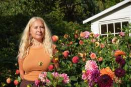 Hvordan lykkes med Dahlia på enklest mulig måte