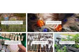 Hagemarkedet i Reddal