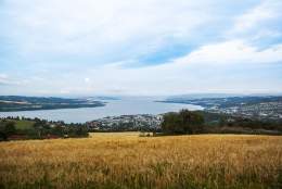 Bergstoppen - Gjøvik