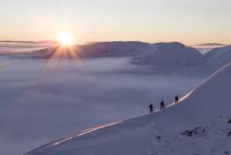Alpine Ski Touring Course - Sognefjord