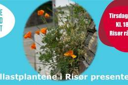 Ballastplantene i Risør presenteres