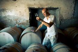 Master of wine- Sebastian Bredal