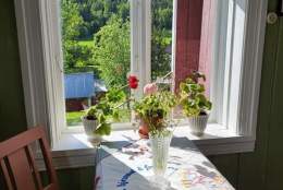 Sommeråpent på Almenninga