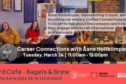 Karriereforbindelser med Åsne Holtklimpen