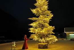 Christmas in Fjærland